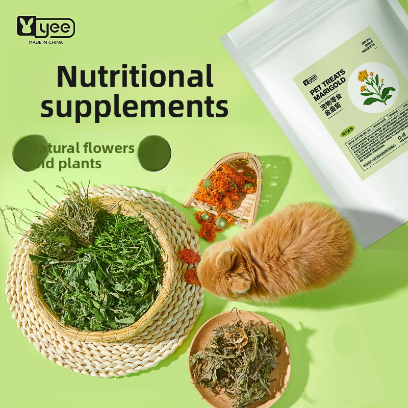 Health Wellness Vitality - イーラビット ヘルススナックミックス 消化促進 バイタリティブレンド タンポポ ミント