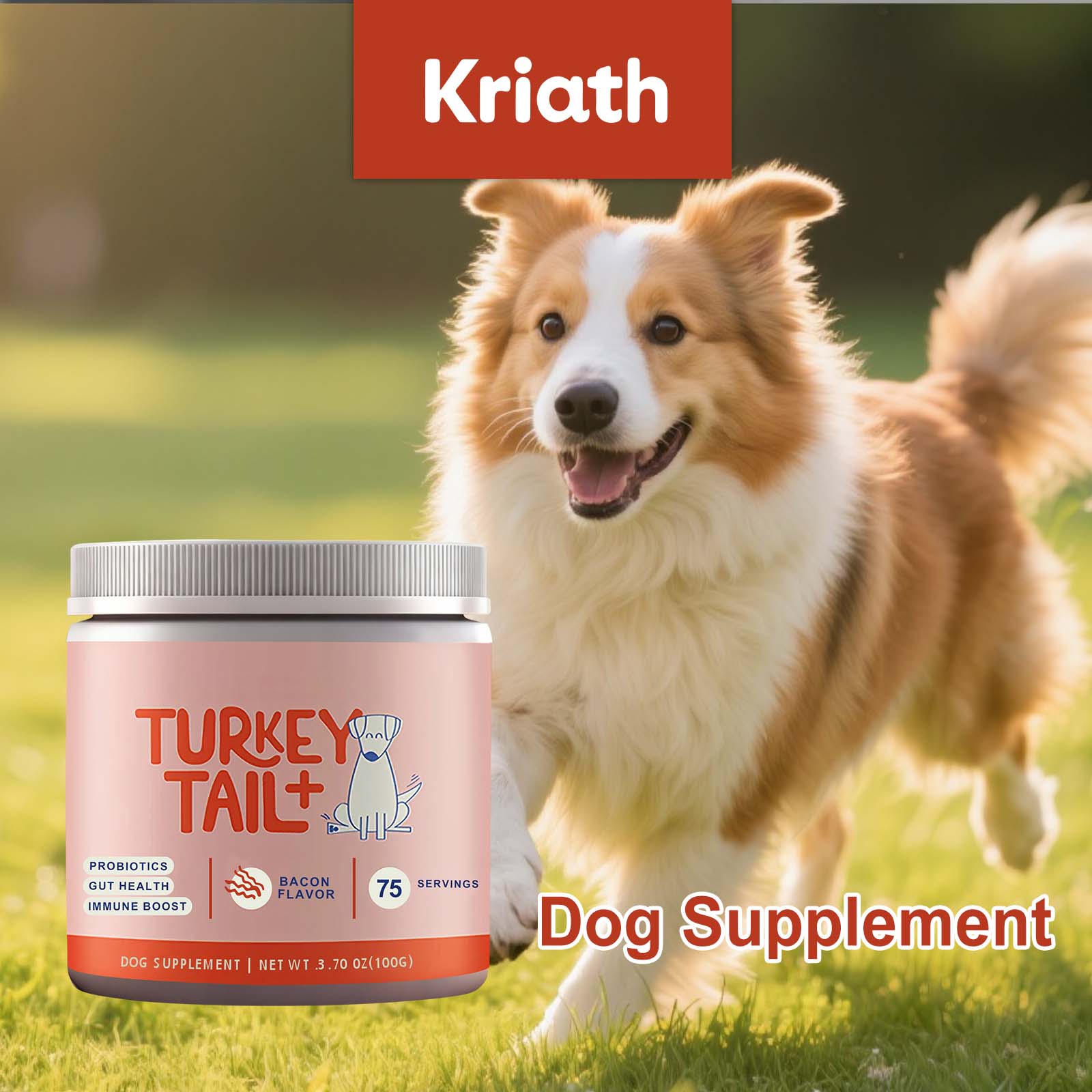 Health Wellness Vitality - 犬用プロバイオティクス粉末 腸内環境サポート 消化器系の健康促進 体の抵抗力向上 ペットの活力向上 デイリーケア