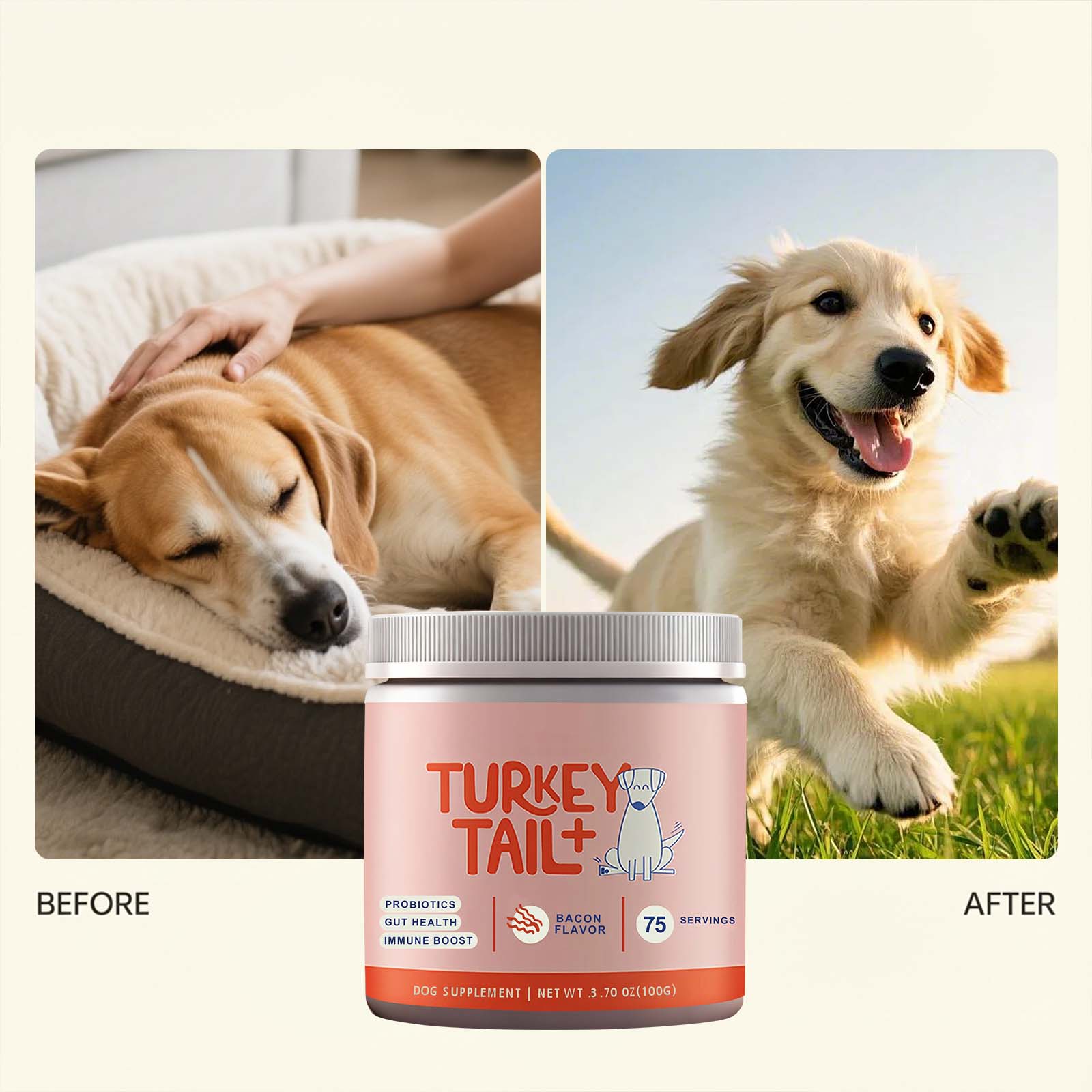 犬用プロバイオティクス粉末 腸内環境サポート 消化器系の健康 - Health Wellness Vitality のレビューと価格