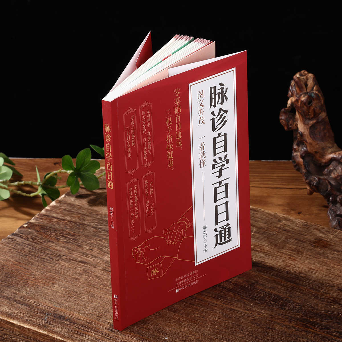 脈診独学百日合格、伝統中国医学入門独学健康書 - Health & Wellness Stores のレビューと価格